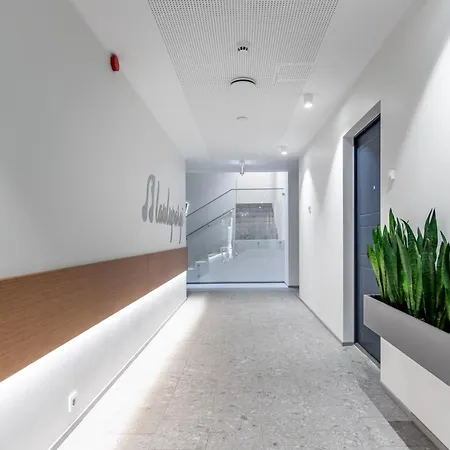 Апартаменты Parkside Lux - 2 Bedrooms Apartment, New